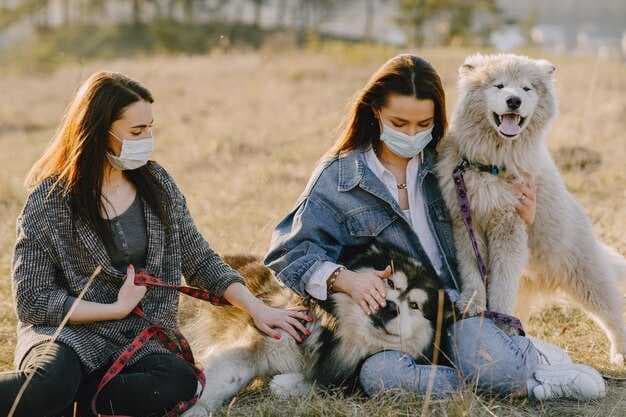 Animals Transport Policy on China Domestic Flights - Pet Dogs and Cats
