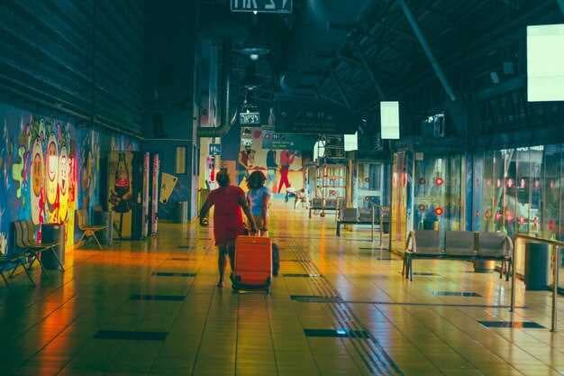 Beijing Daxing Airport PKX - Terminals, Transfers, Arrivals & Departures Guide