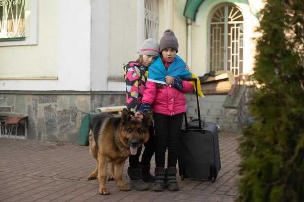 Best Pet Relocation Companies Using Beijing Daxing Airport (PKX)
