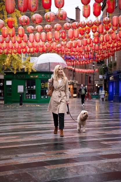 Best Places for Traditional Beijing Snacks at Beijing Daxing International Airport