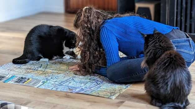 How to Move Your Pet to Beijing, China (PEK) - A Complete Relocation Guide