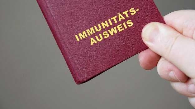 Lost Passport - What Travelers Must Do Next - A Practical Guide