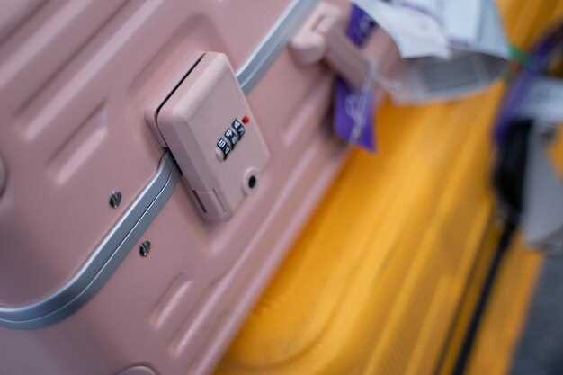 Regional Piece Concept: Americas and Africa for Check-In Luggage