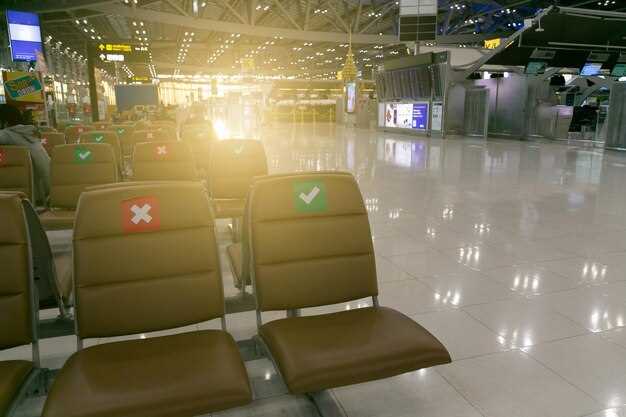 Concierge Services: Meet-and-Assistance, Luggage Handling, and Local Transport