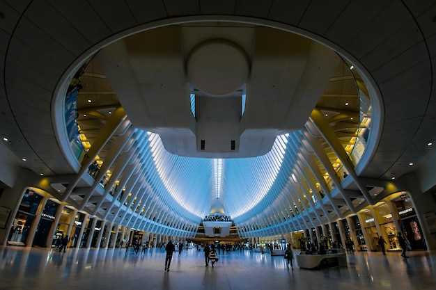 Arrivals and terminal orientation: navigate the airport smoothly and find quick transfers