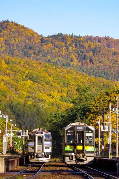 Practical guide to planning the S961 trip: timings, fares, booking and penalties