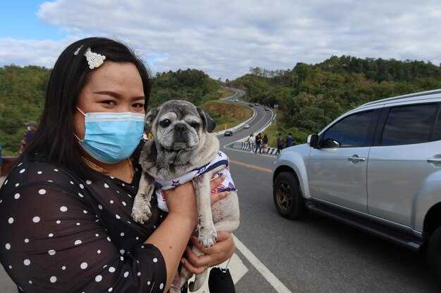 Beijing Airports Travel with Pets Overview